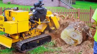 Stump grinder machine grinding tree stump